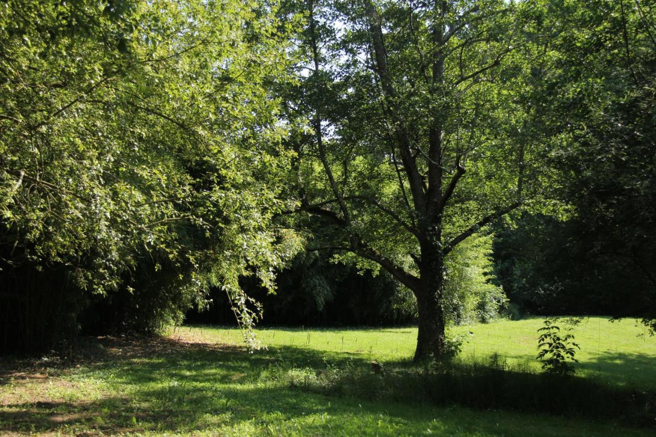 Au Petit Bernerot - Les Gites De L'Arbre Voyageur Eauze Bagian luar foto